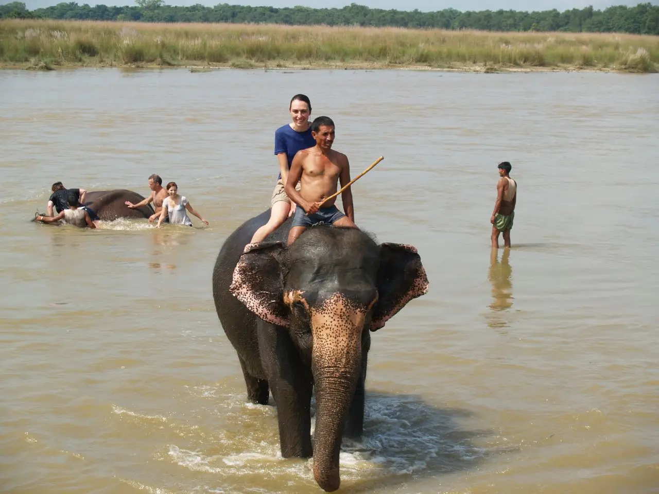 Chitwan safari - Nepal
