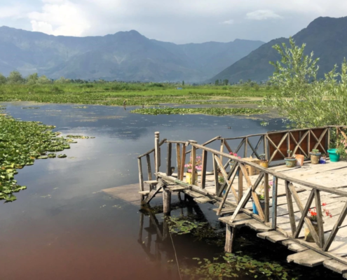 Dal-Lake, Srinagar-India