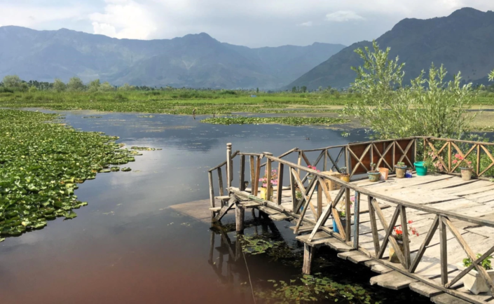Dal-Lake, Srinagar-India