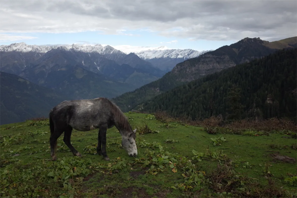 Deo Tibba (6001m), Himachal, India