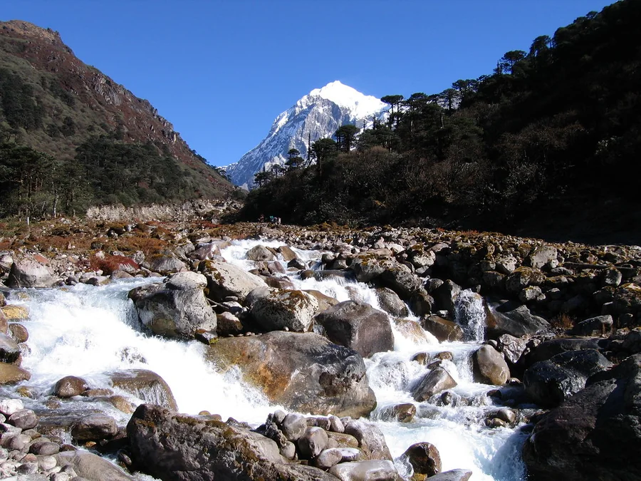 Goechala Dzongri Trek, Sikkim, India