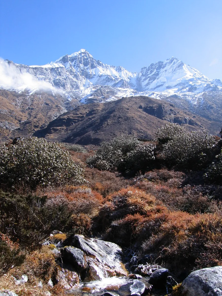 Goechala Dzongri Trek, Sikkim, India