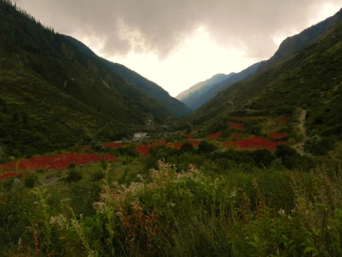 Har Ki Dun Trek, Uttarakhand, India