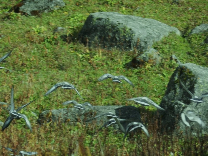 Har Ki Dun Trek, Uttarakhand, India