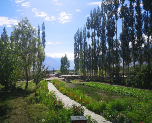 Hunder Nubra Ladak India-Grand-Circuit-Tour