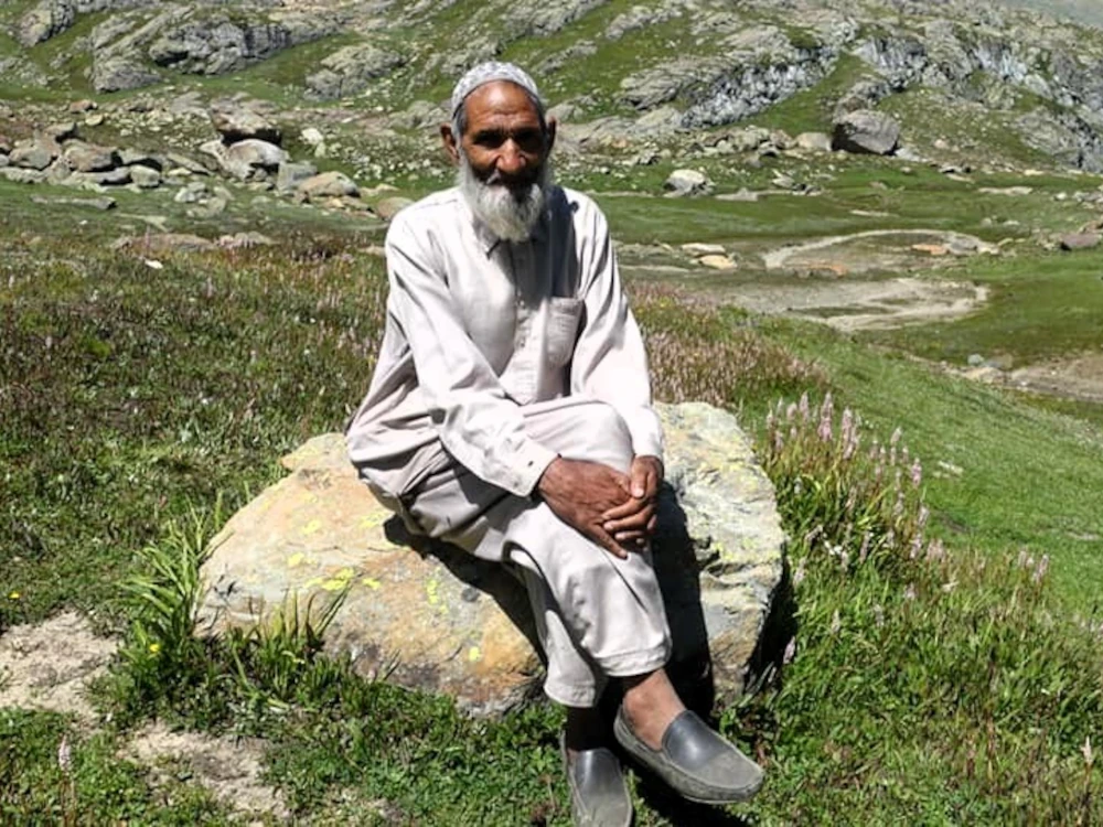 Kashmiri shepherd, Sonamarg-India