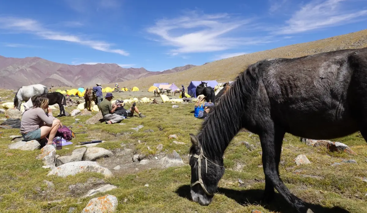 camping Ladakh Kang Yatse II Expedition
