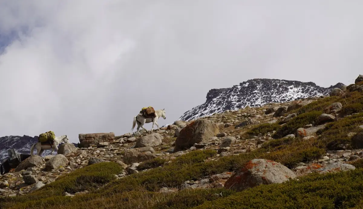 Ladakh Kang Yatse II Expedition