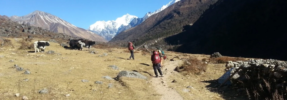 Langtang Valley Trek, Nepal