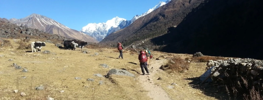 Langtang Valley Trek, Nepal