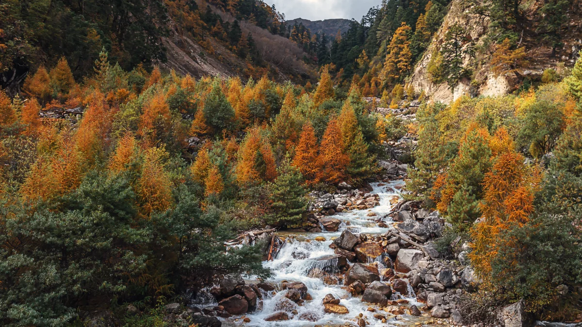 Manaslu Circuit Trek, Nepal