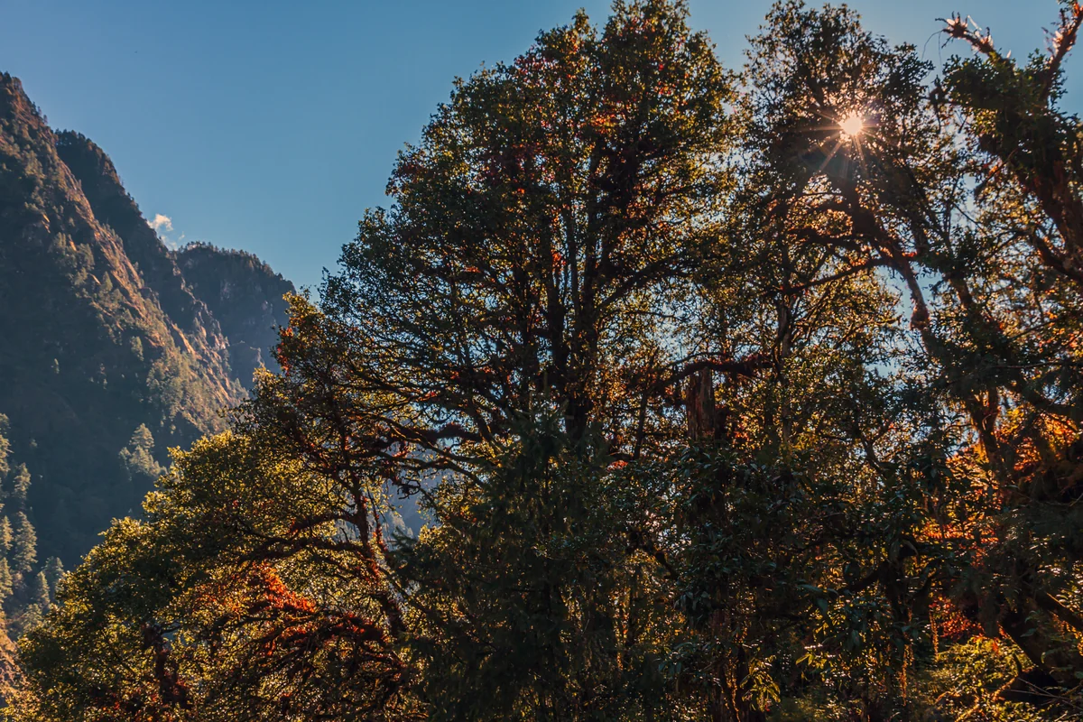 Manaslu Circuit Trek, Nepal