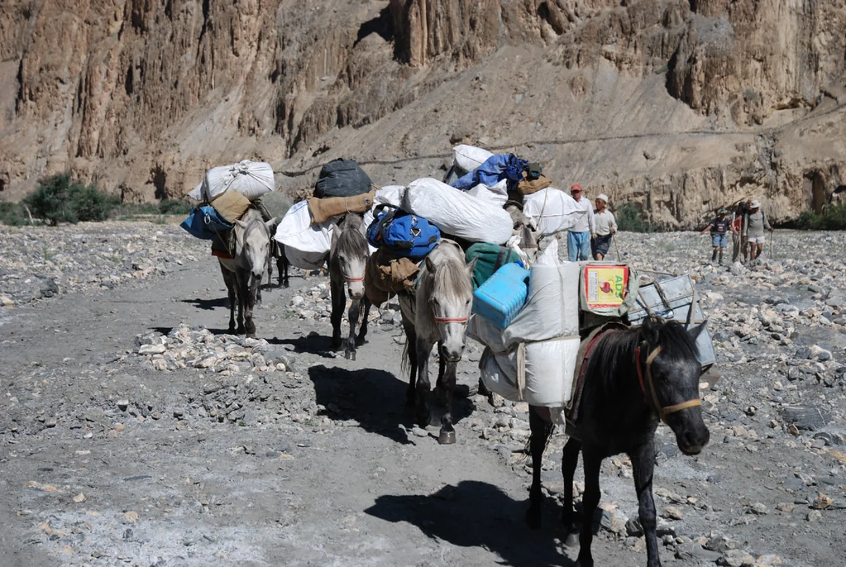 Markha Valley Trek, Leh-Ladakh, India