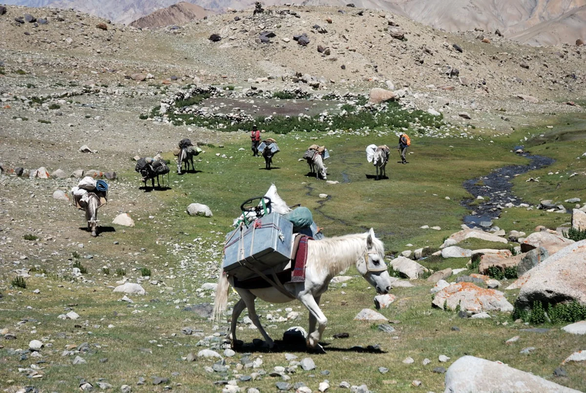 Markha Valley Trek, Leh-Ladakh, India