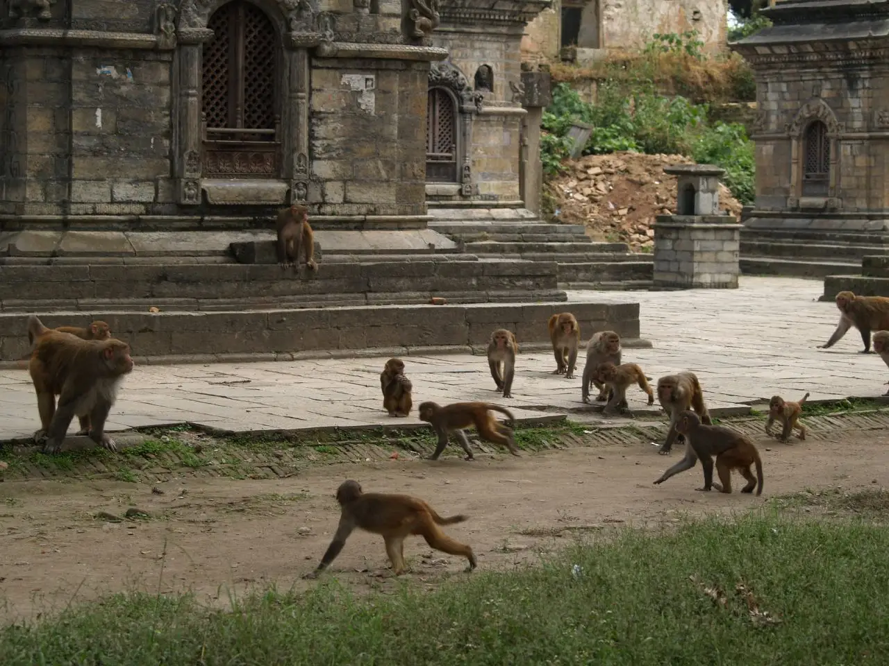 Kathmandu valley - Nepal