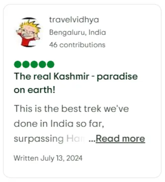 Parent company Kashmir Treks Tripadvisor review by travevidhya