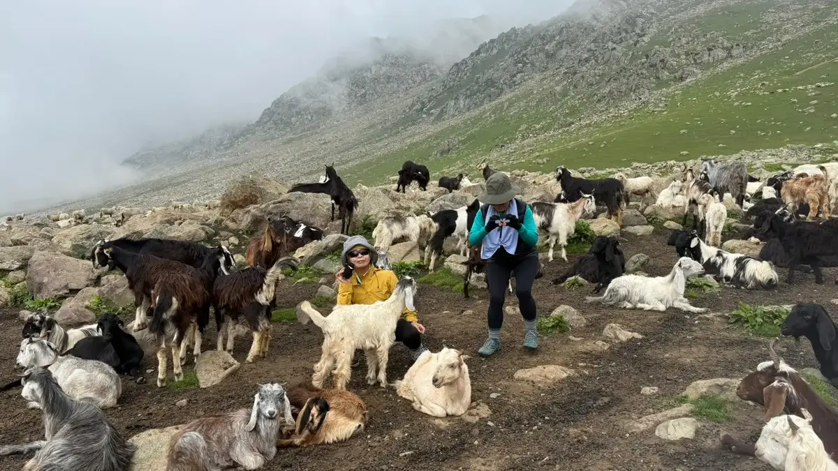 Trek to Sukhnai - Warwan Valley Trek