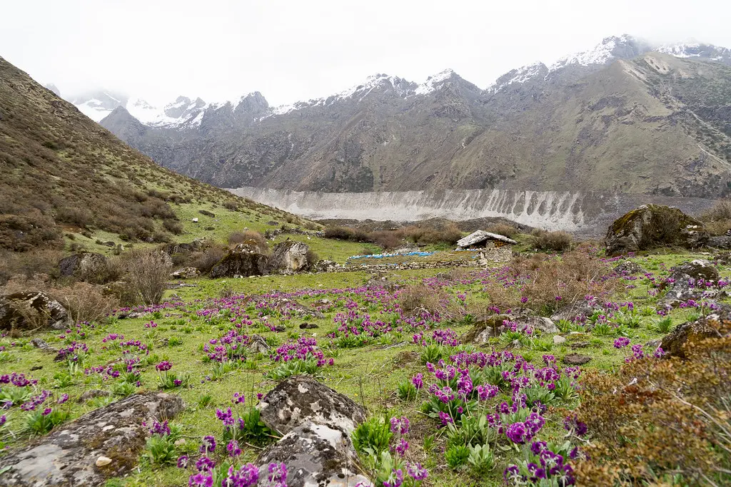 bhutan trekking tour