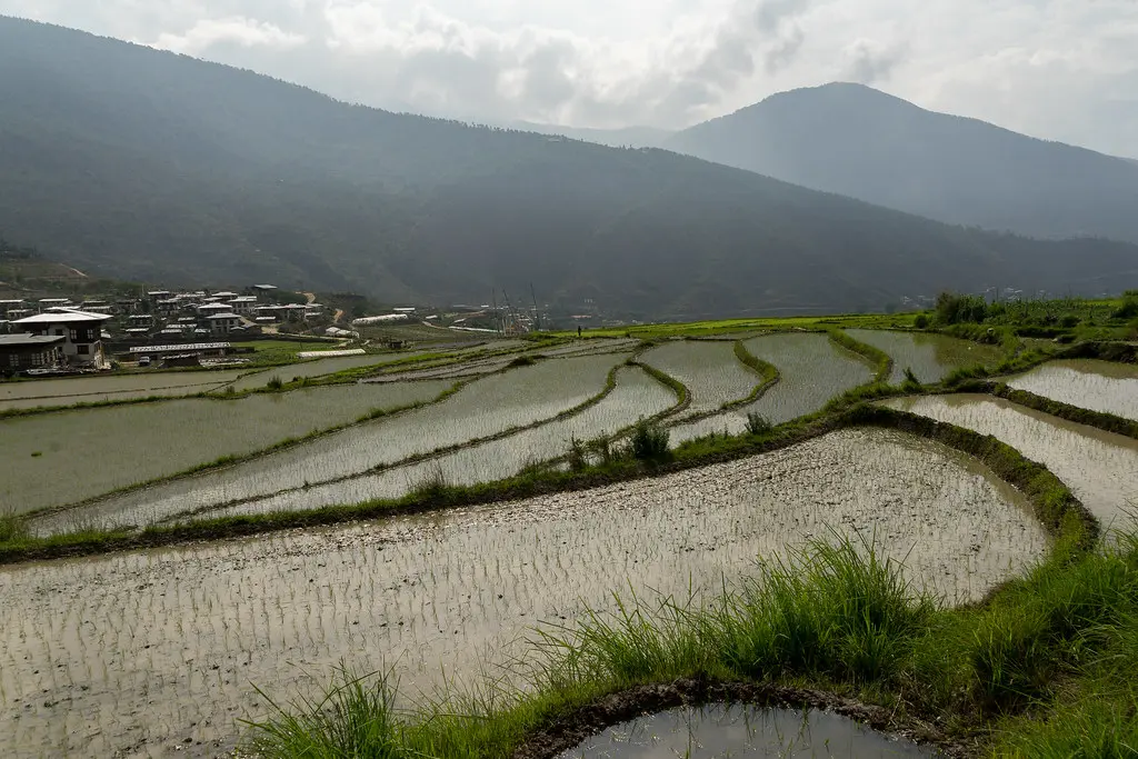 bhutan trekking tour