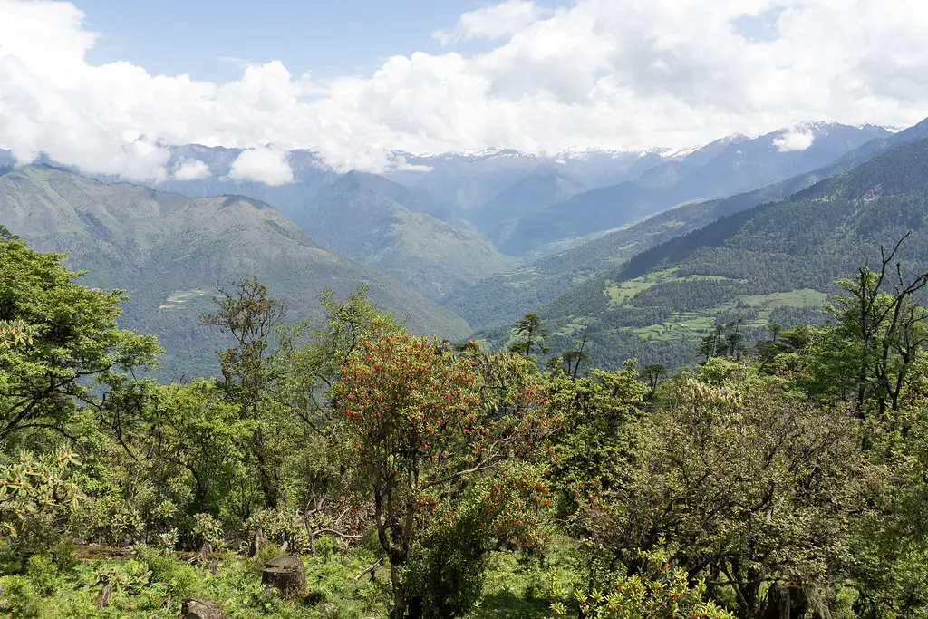 bhutan trekking tour