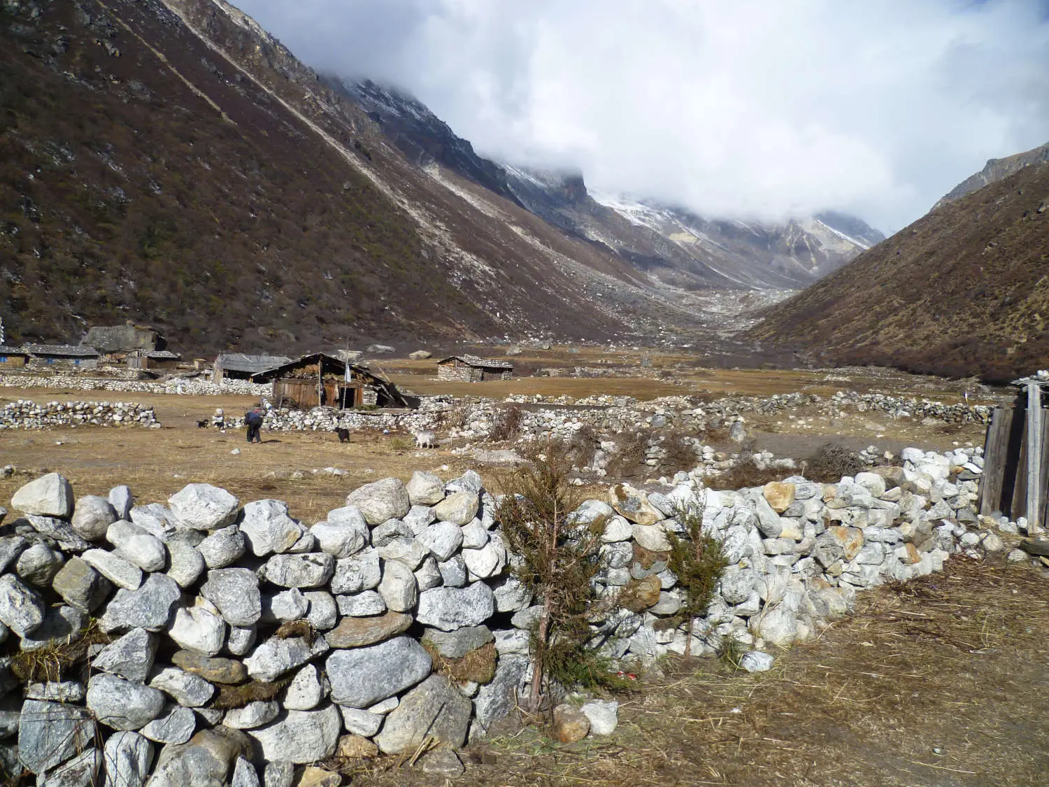 kangchenjunga-kambachen