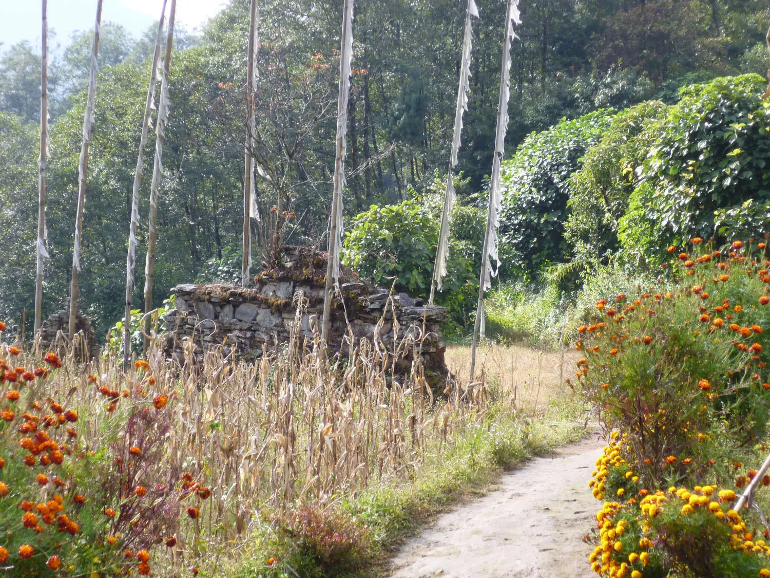 kangchenjunga-near-yamphudin