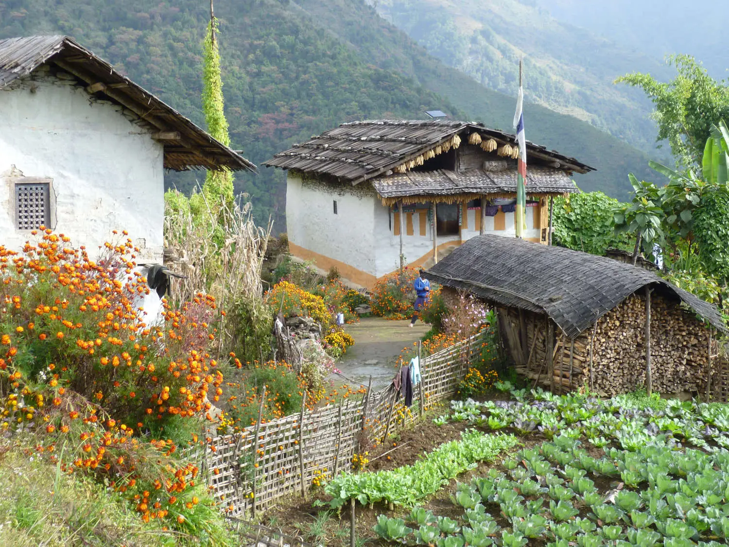 kangchenjunga-yamphudin