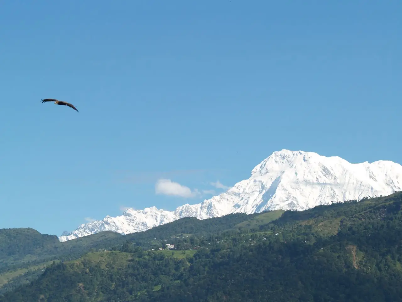 Pokhara - Nepal