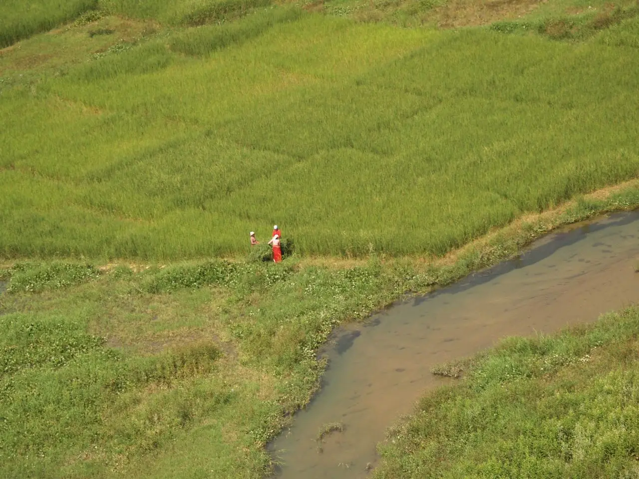 Paragliding in Pokhara - Nepal