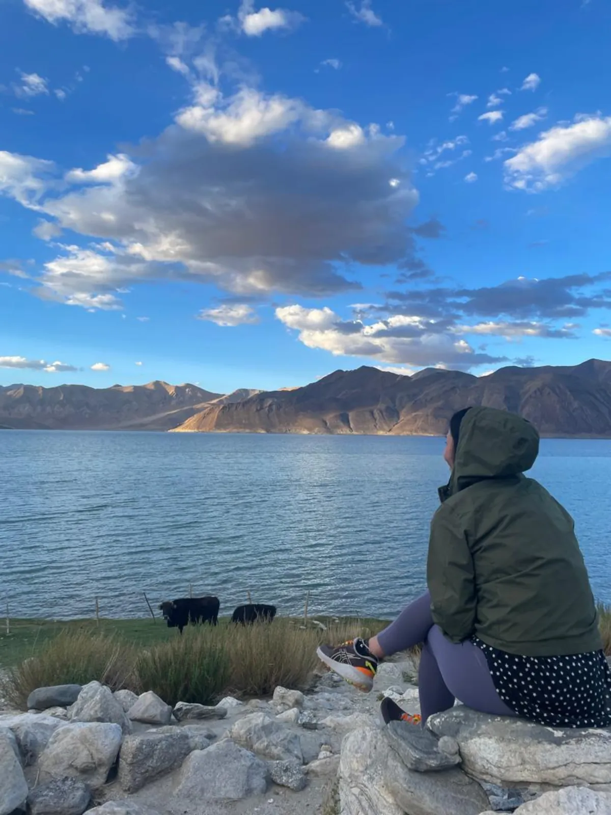 watching Pangong Lake Ladakh India-Grand-Circuit-Tour